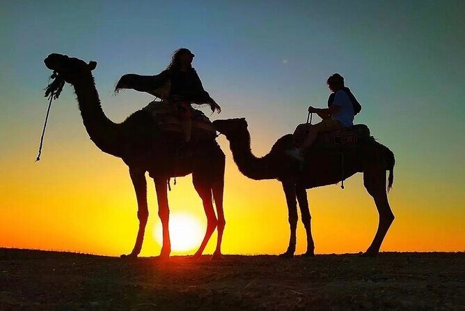 Atlas Mountain Imlil Waterfall & Berber Villages Camel Ride Trip - Key Points