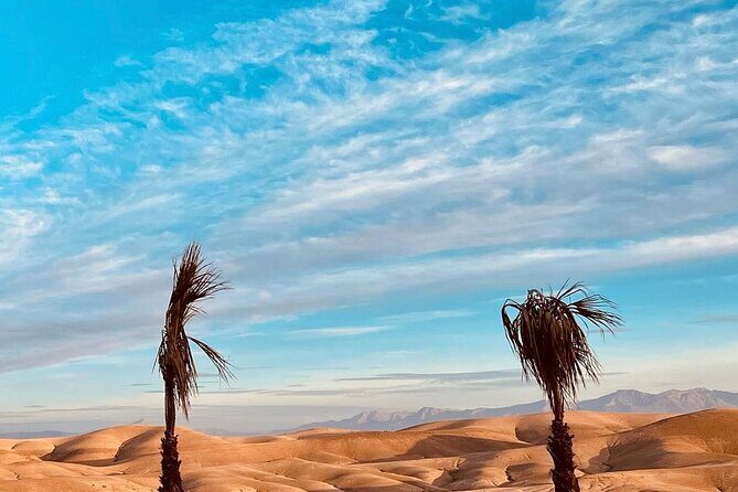 Atlas Mountain Imlil Waterfall & Berber Villages Camel Ride Trip - Final Thoughts