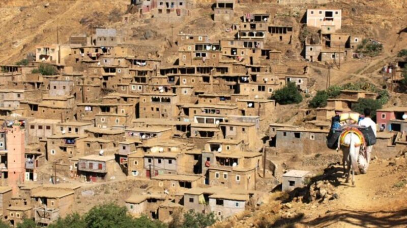 Atlas Mountain & Three Valleys Waterfalls & Desert Day Trip - Who Will Love This Tour?
