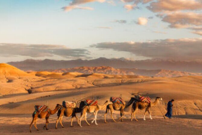 Atlas Mountains, 3 Valleys & Agafay Desert from Marrakech-DayTour - What to Expect: Practical Details