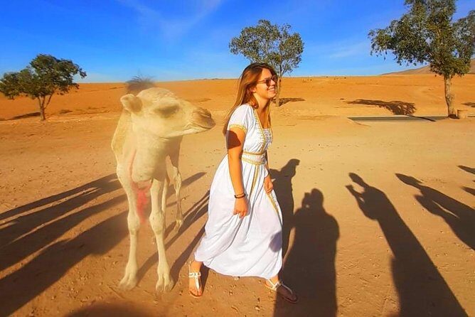 Atlas Mountains, 3 Valleys & Agafay Desert from Marrakech-DayTour - Who Will Love This Tour?