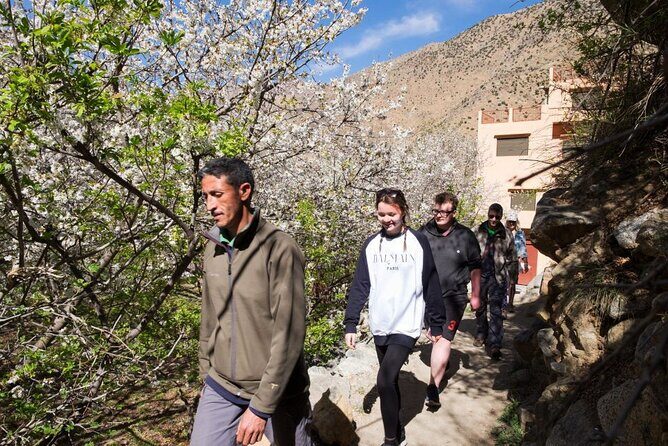 Atlas Mountains & 3 Valleys Waterfalls and Camel Ride Marrakech - Detailed Itinerary Breakdown