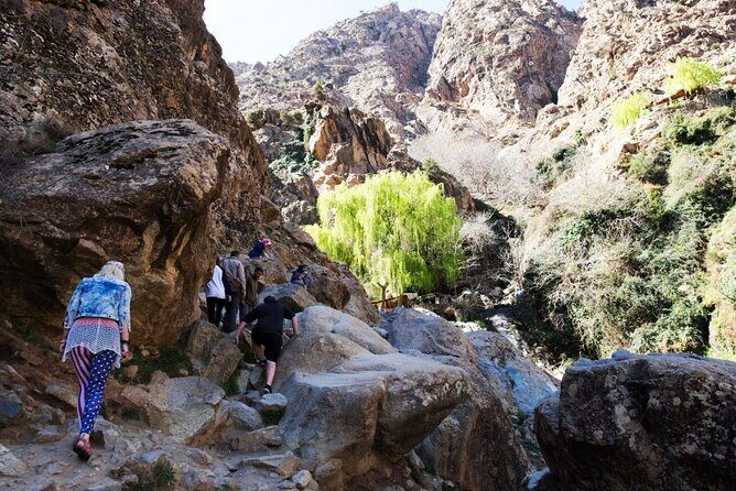 Atlas Mountains & 3 Valleys Waterfalls and Camel Ride Marrakech - Final Thoughts