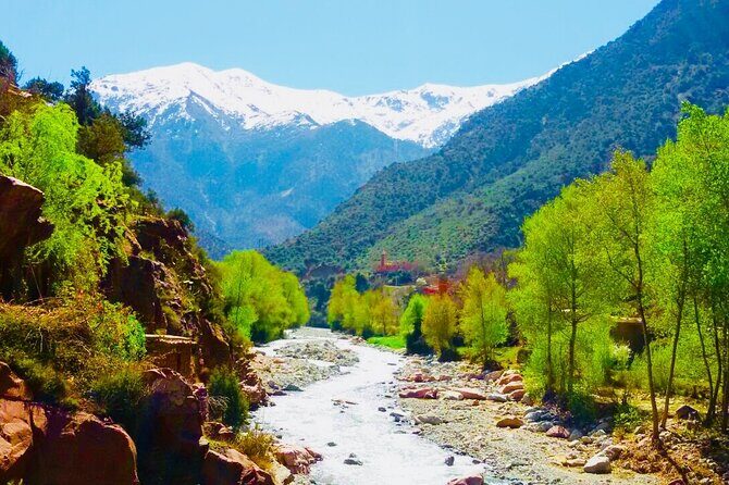 Atlas Mountains & 4 Valleys with Berber Villages day trip from Marrakech - The Real Value: What Travelers Are Saying