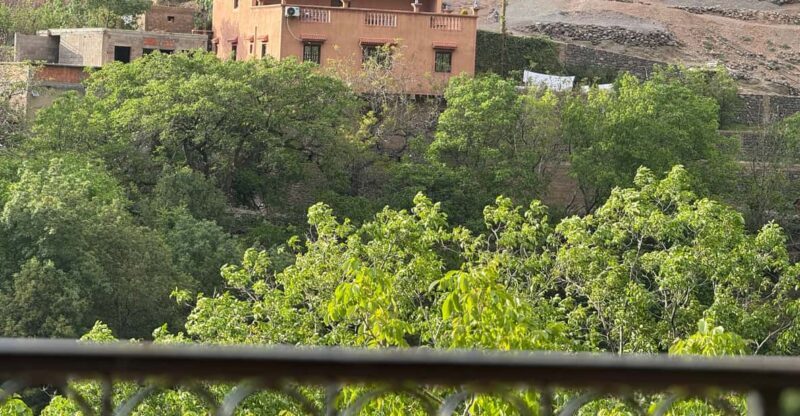 Atlas Mountains & Agafay Desert Dinner: A Majestic Journey - Final Thoughts: Who Is This Tour Best For?