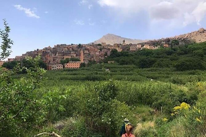 Atlas Mountains and 3 Valleys Day Trip from Marrakech - Why This Tour Is a Great Choice