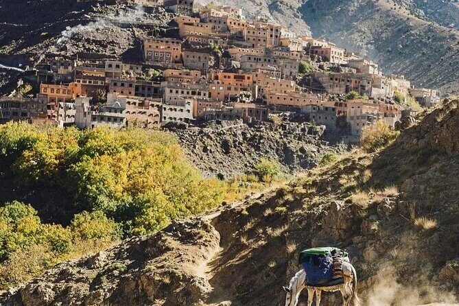 Atlas Mountains and 3 Valleys Day Trip from Marrakech - Frequently Asked Questions