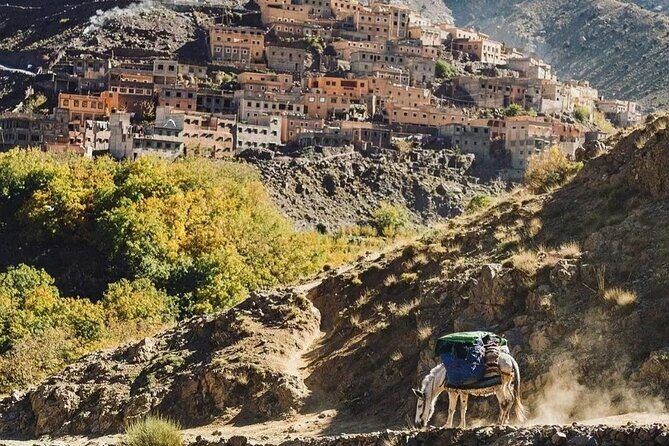 Atlas Mountains and 3 Valleys & Waterfalls - Camel Ride Marrakech - Key Points