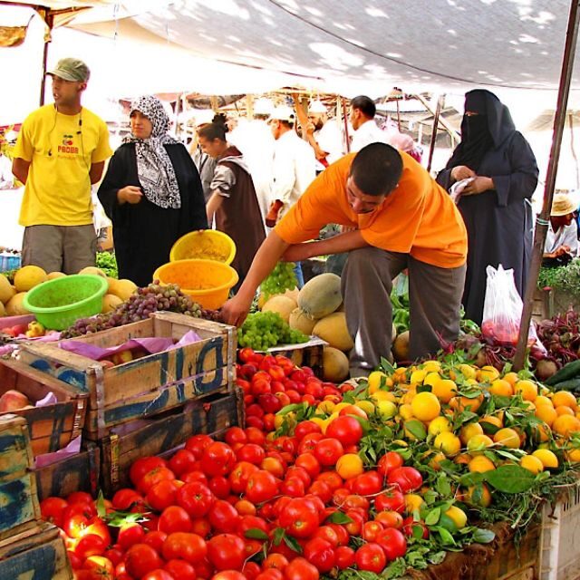 Atlas Mountains and 3 Valleys & Waterfalls & Desert Agafay - Who Should Consider This Tour?