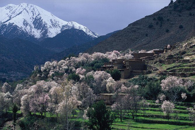 Atlas Mountains and 4 Valleys Private Tour from Marrakech - What the Tour Offers in Detail
