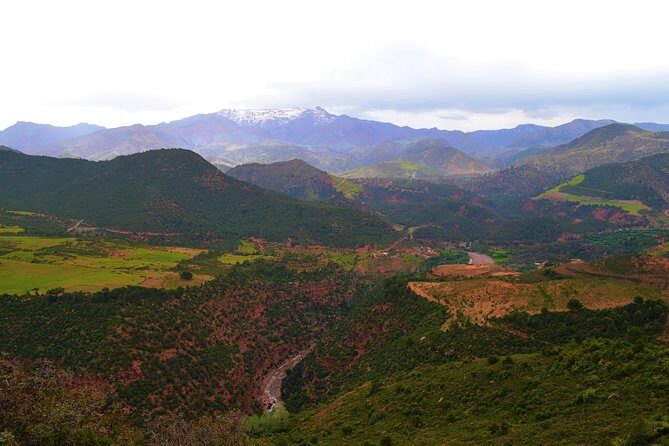 Atlas Mountains and 4 Valleys Private Tour from Marrakech - The Sum Up
