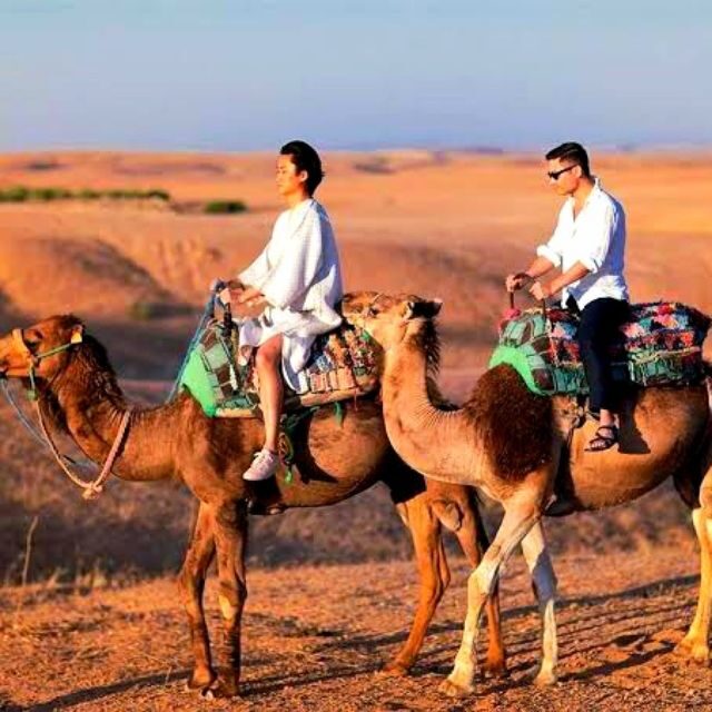 Atlas mountains and Berber villages & waterfall & camel ride - The Camel Ride in Agafay Desert