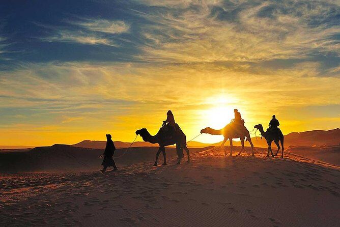 Atlas Mountains and Berber villages & Waterfalls with Camel ride - The Sum Up: Who Will Love This Tour?