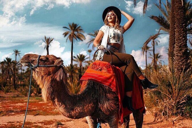 Atlas Mountains and Camel ride Day trip, from Marrakech - First Impressions: What This Tour Offers