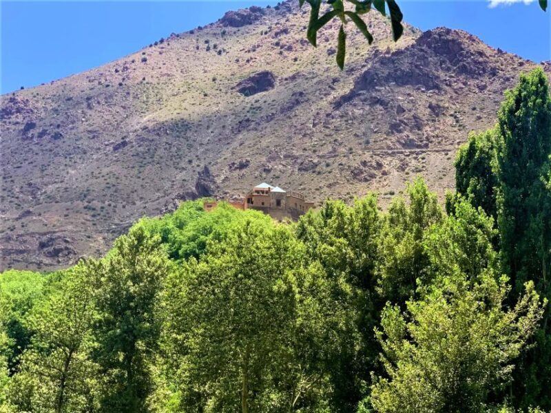 Atlas Mountains and Quad Biking Tour - FAQ