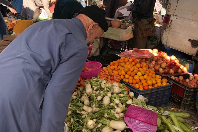 Atlas Mountains and Three Valleys & Waterfalls - Camel ride Day Trip Marrakech - The Itinerary: What to Expect on the Day Trip