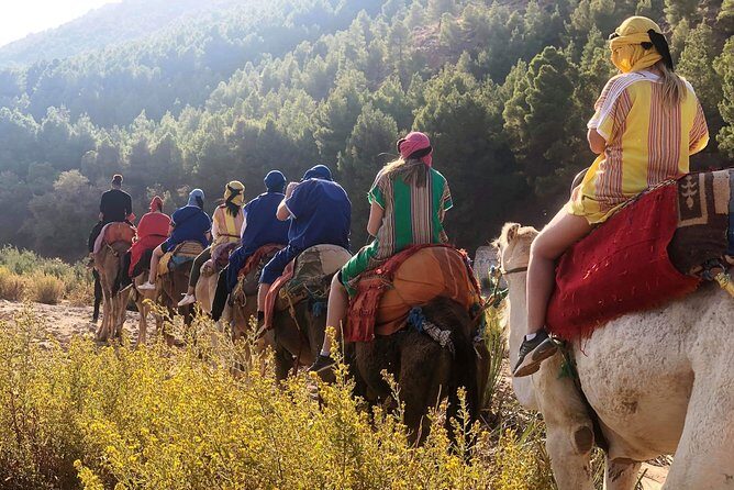 Atlas Mountains and Three Valleys & Waterfalls - Camel ride Day Trip Marrakech - Who Should Consider This Tour?