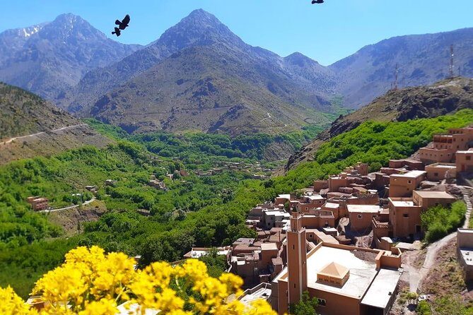 Atlas Mountains and Three Valleys & Waterfalls with Camel ride Day Trip - Discovering Morocco’s High Atlas: An Authentic Day Trip
