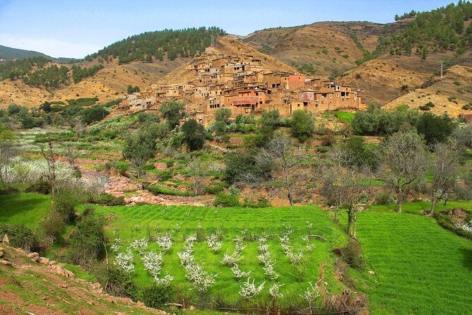 Atlas Mountains And Toubkal Massif & Waterfalls Guided Day Tour From Marrakech - Who Is This Tour Best Suited For?