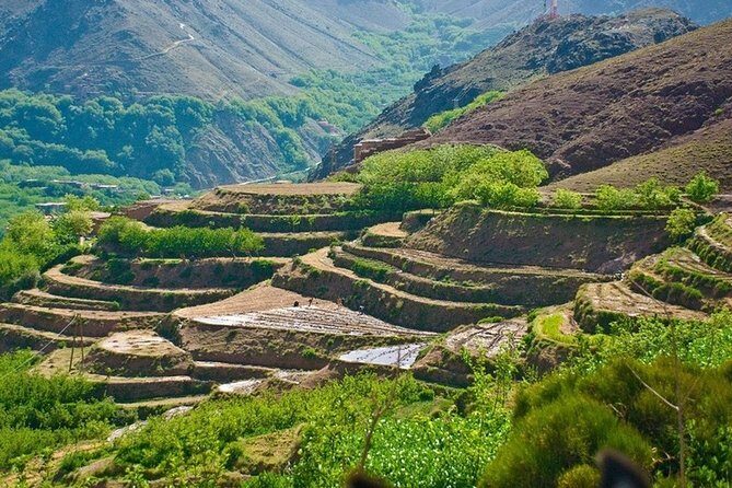 Atlas Mountains And Toubkal Massif & Waterfalls Guided Day Tour From Marrakech - FAQs