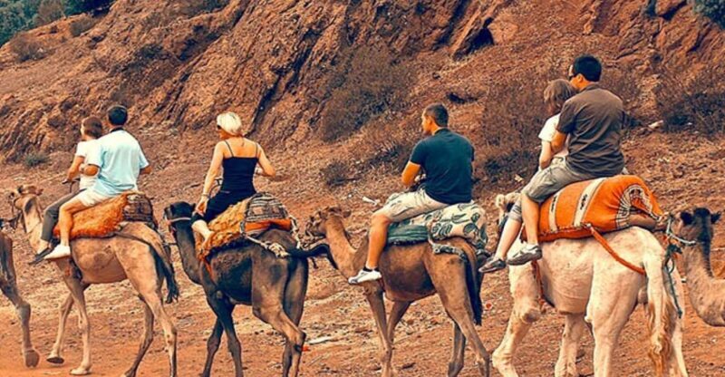 Atlas Mountains: Berber Valleys, Waterfalls & Camel Ride - The Experience Provider