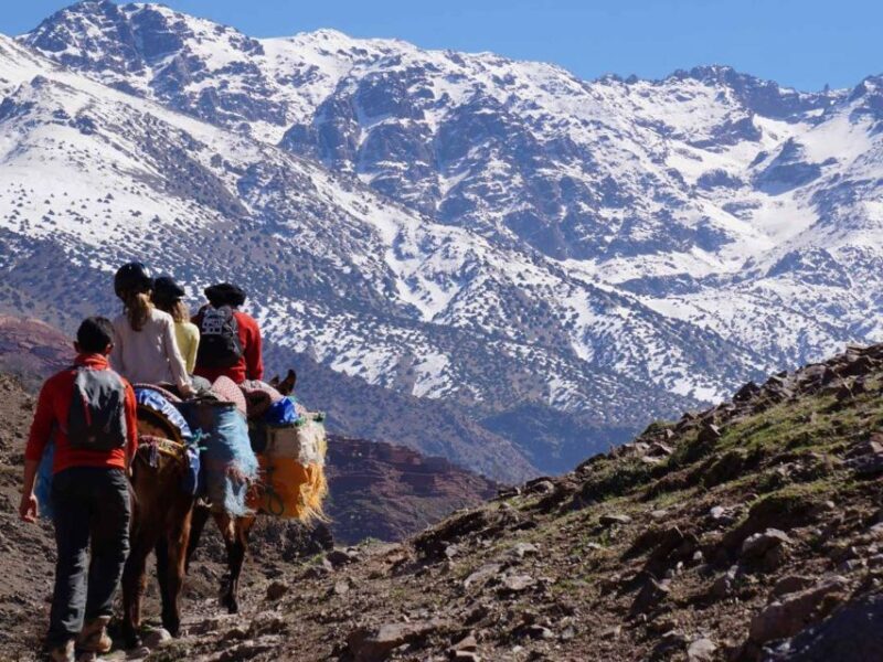 Atlas Mountains & Berber Villages: 3-Day Cultural Tour - A Practical Breakdown of the 3-Day Atlas Mountains & Berber Villages Tour
