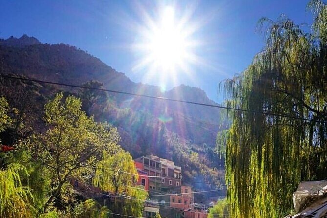 Atlas Mountains & Berber villages: optional Camel ride/Waterfall - Authentic Experiences & Real Traveler Insights