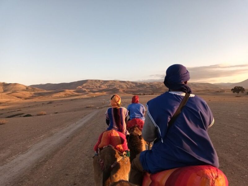 Atlas Mountains: Berber Villages, Waterfalls & Camel Ride - Introduction: What to Expect from the Atlas Mountains Tour