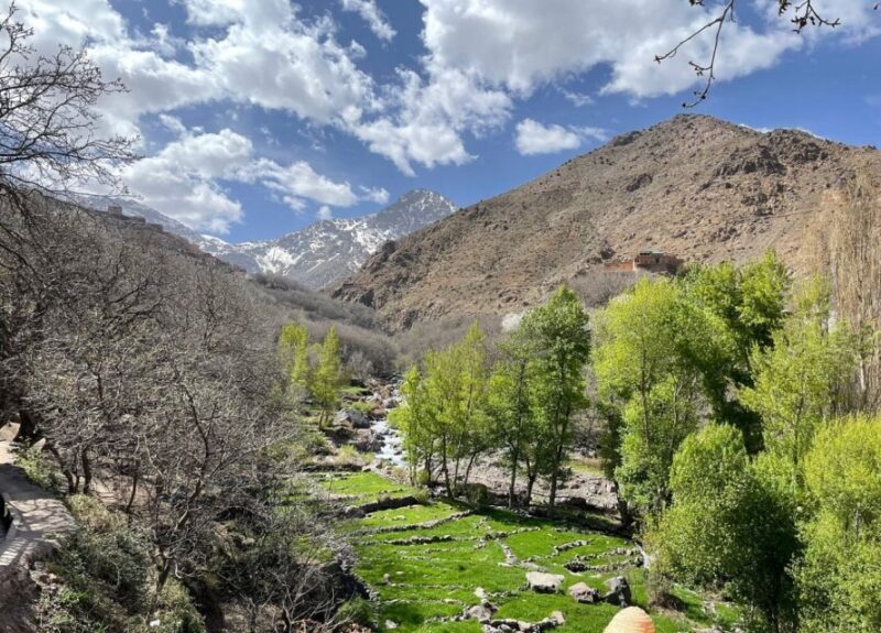 Atlas Mountains: Berber Villages, Waterfalls & Camel Ride - FAQ