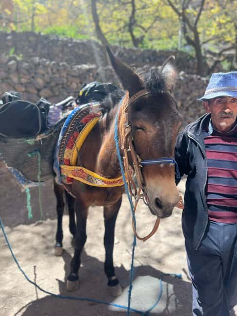 Atlas Mountains Challenge: Day Hike from Marrakech - FAQs