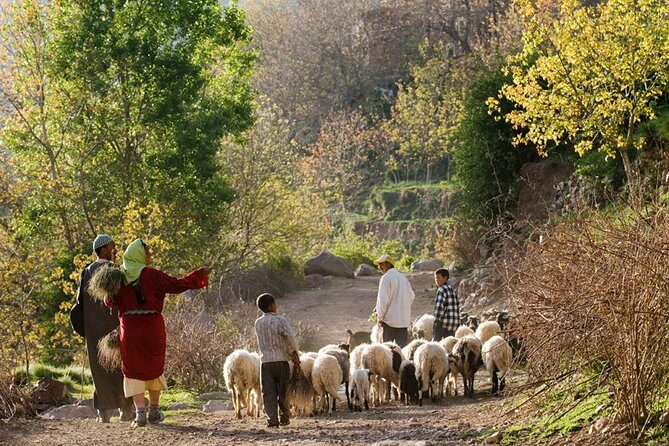 Atlas Mountains Day Trip and Camel Ride - The Sum Up