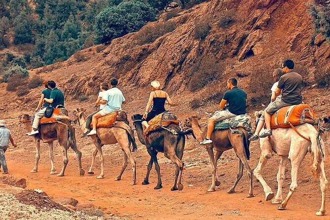 Atlas Mountains Day Trip from Marrakech and Three Valleys Guided Tour - Key Points