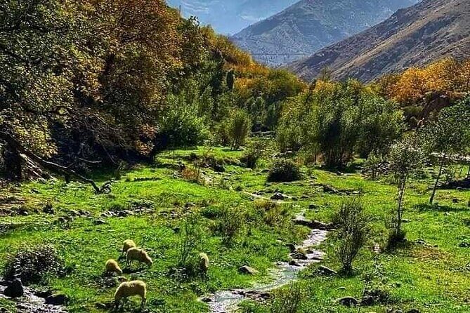 Atlas Mountains Day Trip From Marrakech - A Deep Dive into the Experience