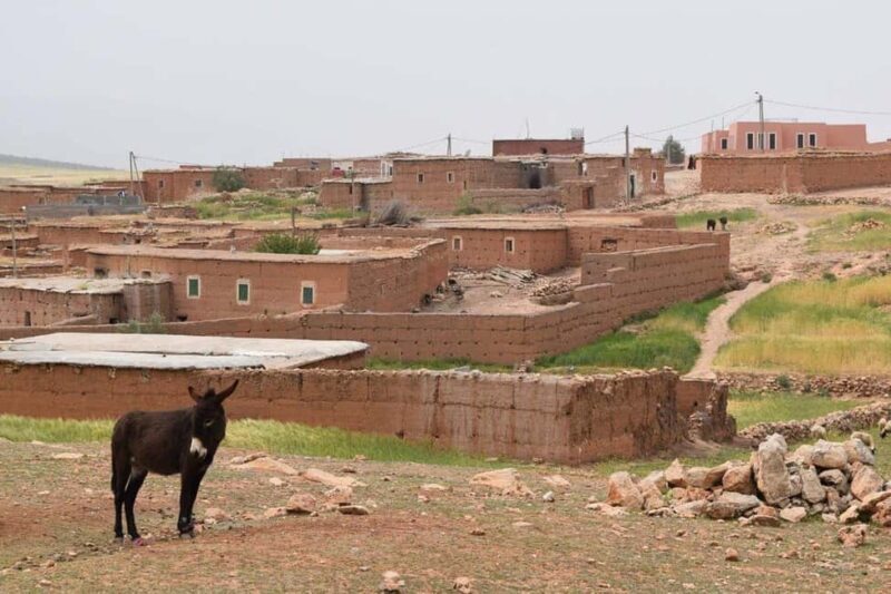 Atlas Mountains Day Trip & lunch in Local Family house - Who Is This Tour Best For?