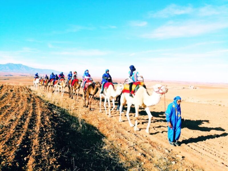 Atlas mountains day trip with camel ride - Who Will Love This Tour?