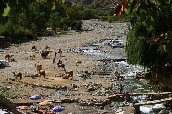 Atlas Mountains Day Trip with Camel Ride - The Sum Up: Who Should Consider This Tour?