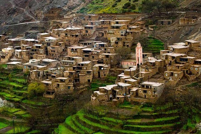 Atlas Mountains Day Trip with Camel Ride from Marrakech - Midday Delights: Berber Lunch and Family Visits