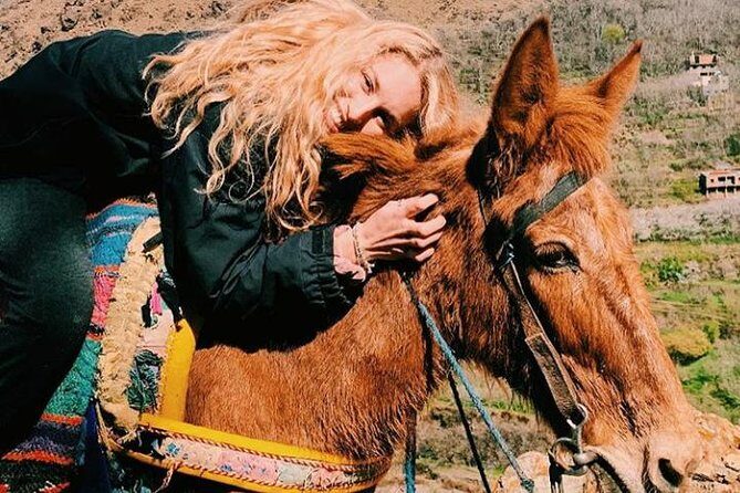 Atlas Mountains Day Trip with Camel Ride from Marrakech including lunch - The Sum Up