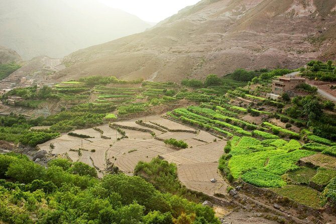 Atlas Mountains Day Trip with Camel Ride (Imlil) - The Sum Up