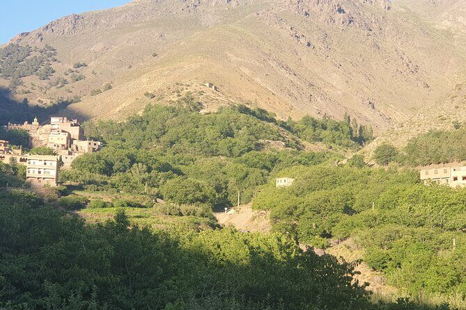 Atlas Mountains Day trip,3 Valleys & Waterfalls from Marrakech. - Comfortable and Hassle-Free Transportation