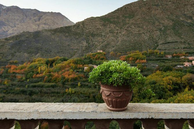 Atlas Mountains Day trips & 3 valleys with Camel ride - Key Points  