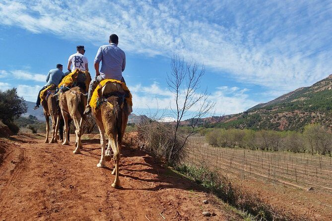 Atlas Mountains day Trips and berbers villages - The Sum Up
