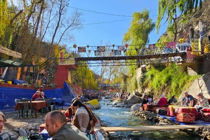 Atlas Mountains Escape: Ourika Valley, Waterfalls & Lunch - An In-Depth Look at the Tour Experience
