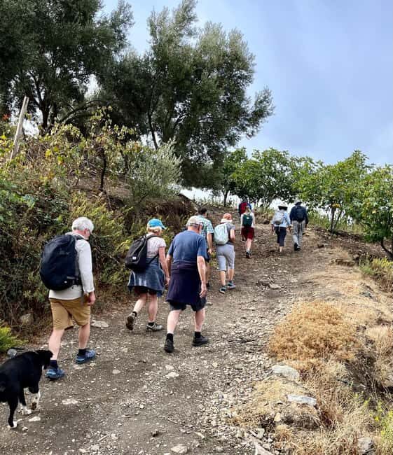 Atlas mountains hike with waterfalls & 3 valleys day trip - Final Verdict