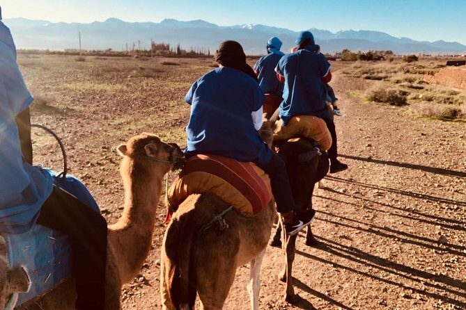 Atlas Mountains, Imlil, 4 valleys day trip and Camel Ride from Marrakech - Key Points
