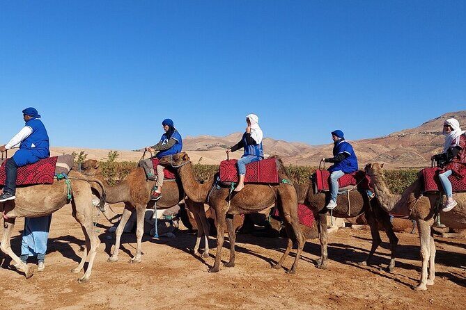 Atlas Mountains, Imlil valley, waterfalls, & Camel ride Day trip from Marrakech - The Itinerary in Detail