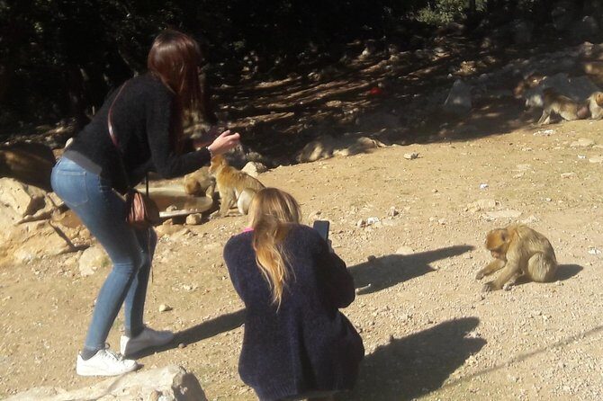 Atlas Mountains, Morocco: Ifrane, Azrou, Monkey Forest, Full Day Tour from Fez - Final Thoughts: Is It Worth It?