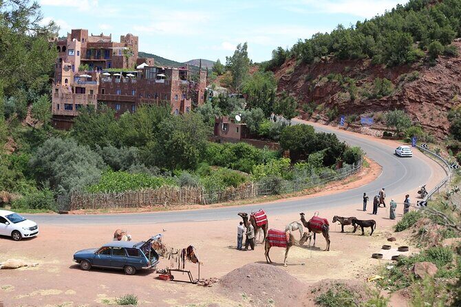 Atlas Mountains Ourika valley Day Tour from Marrakech - Key Points