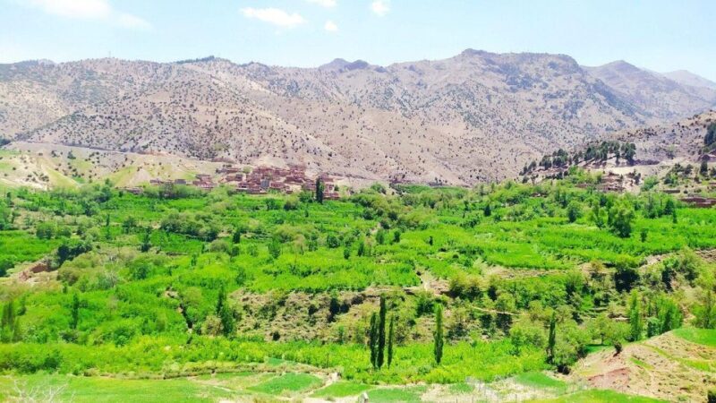 Atlas Mountains & Ourika valley day trip from Marrakech - Final Thoughts