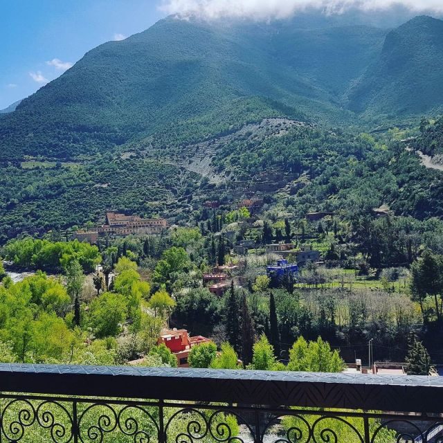 Atlas Mountains Ourika valley Day Trip From Marrakech - Exploring Berber Villages and Local Culture